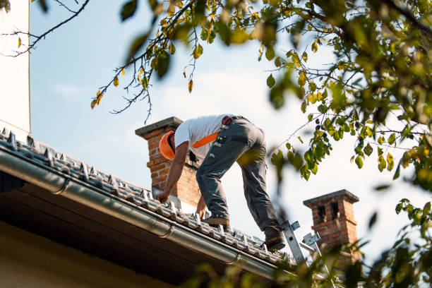 Best Roof Gutter Cleaning  in Cloverdale, CA